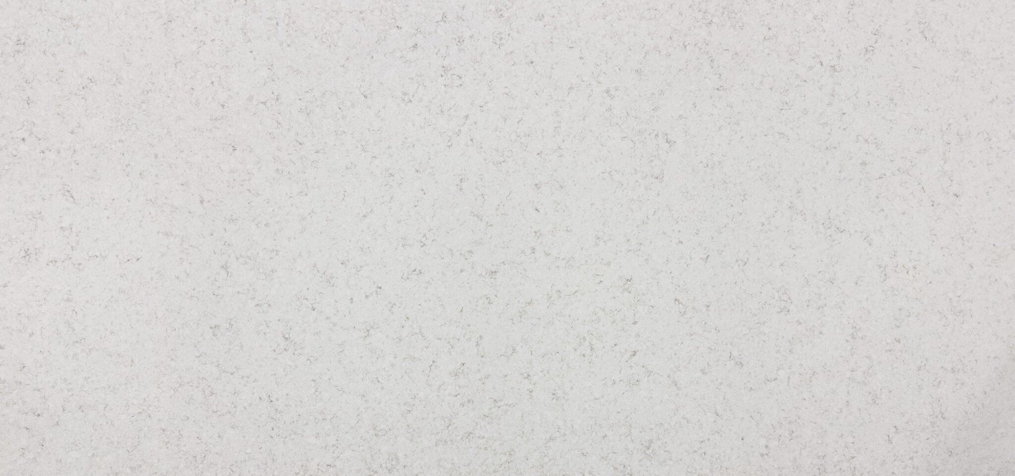Arctic White