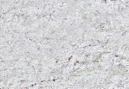 New Kashmire White