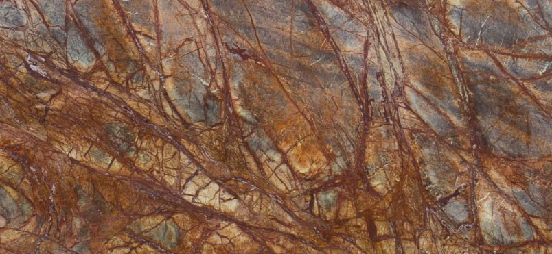 RAINFOREST BROWN