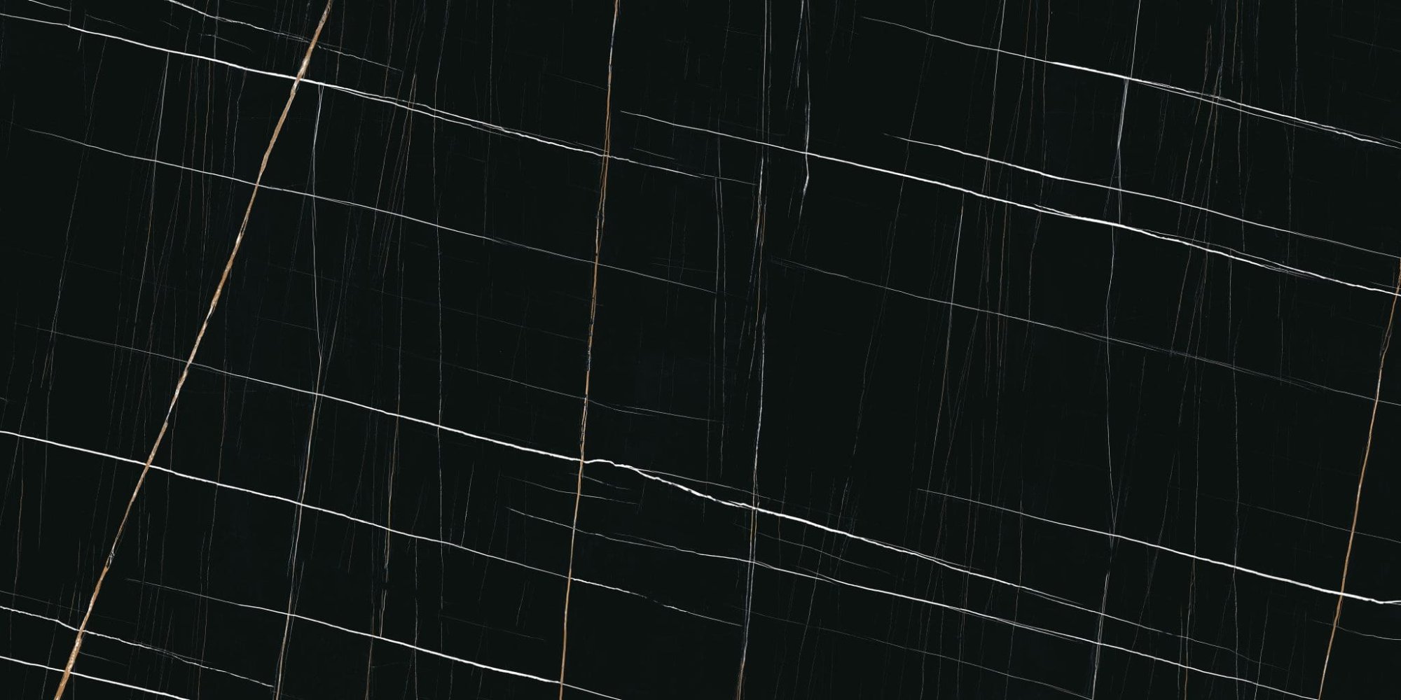 Sahara Noir