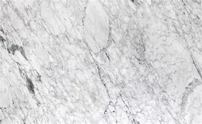 White Carrara Venatino
