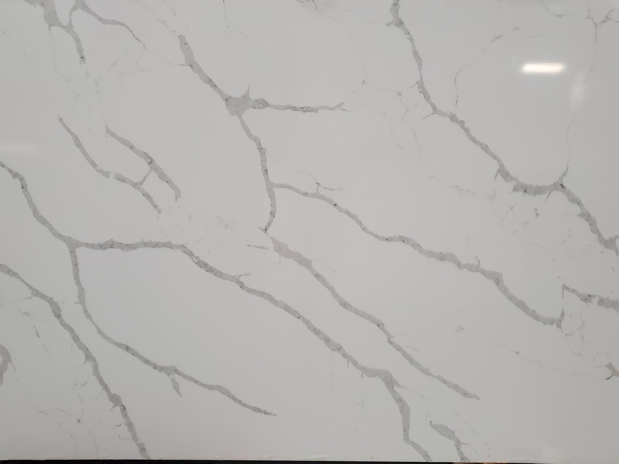 Calacatta Sponda