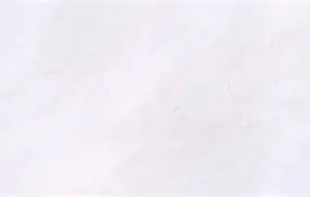 Noble White