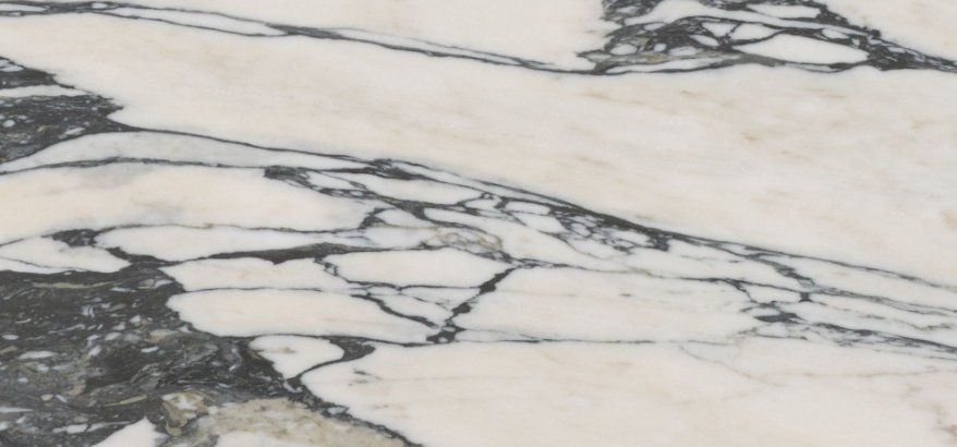 CALACATTA CAMEO EXTRA