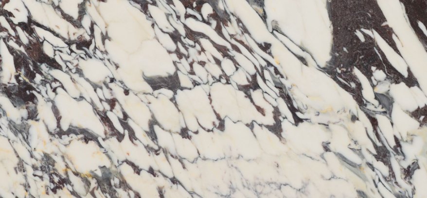 BRECCIA CAPRAIA