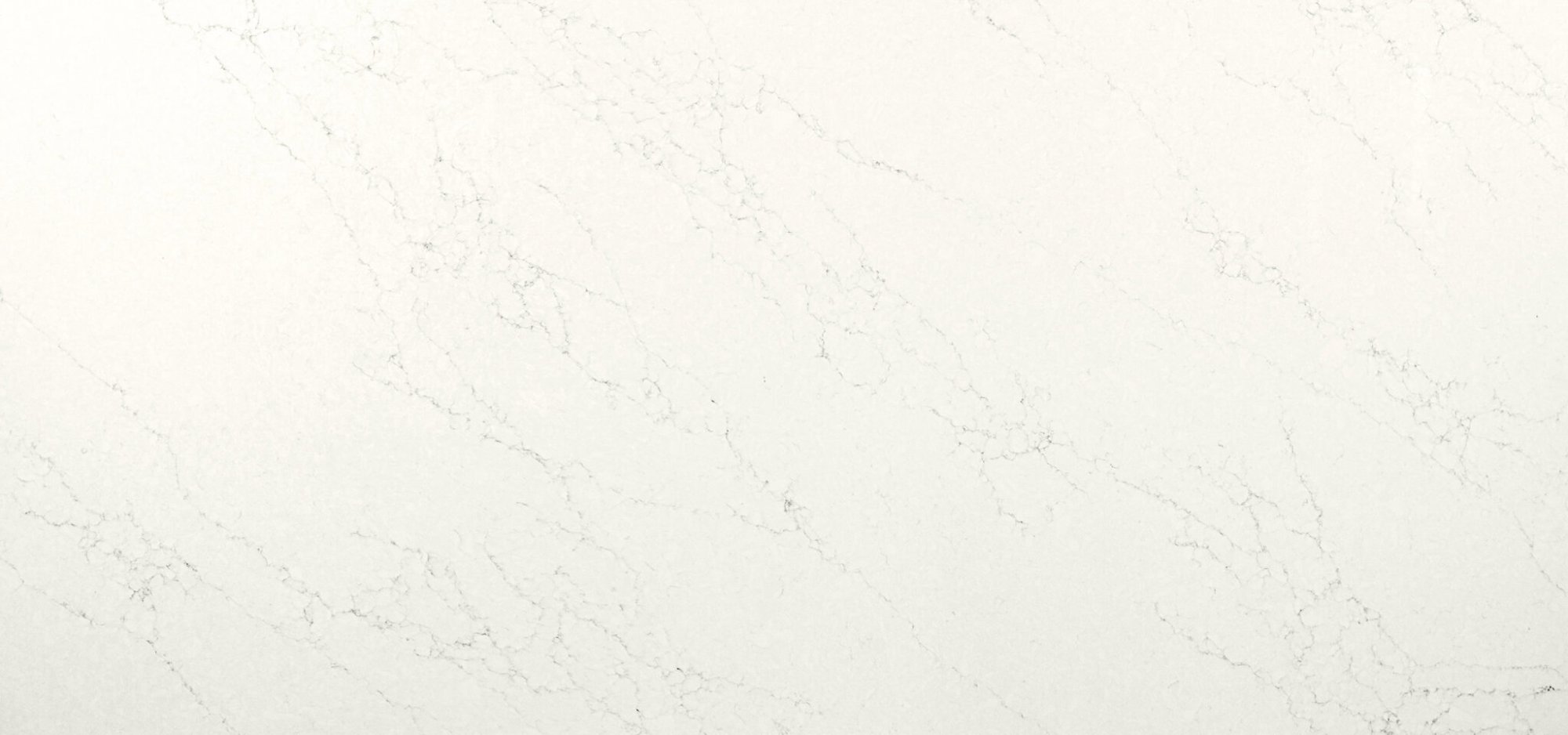 Statuario Mocha