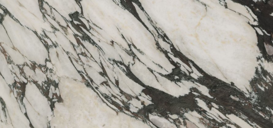 CALACATTA FIORITO