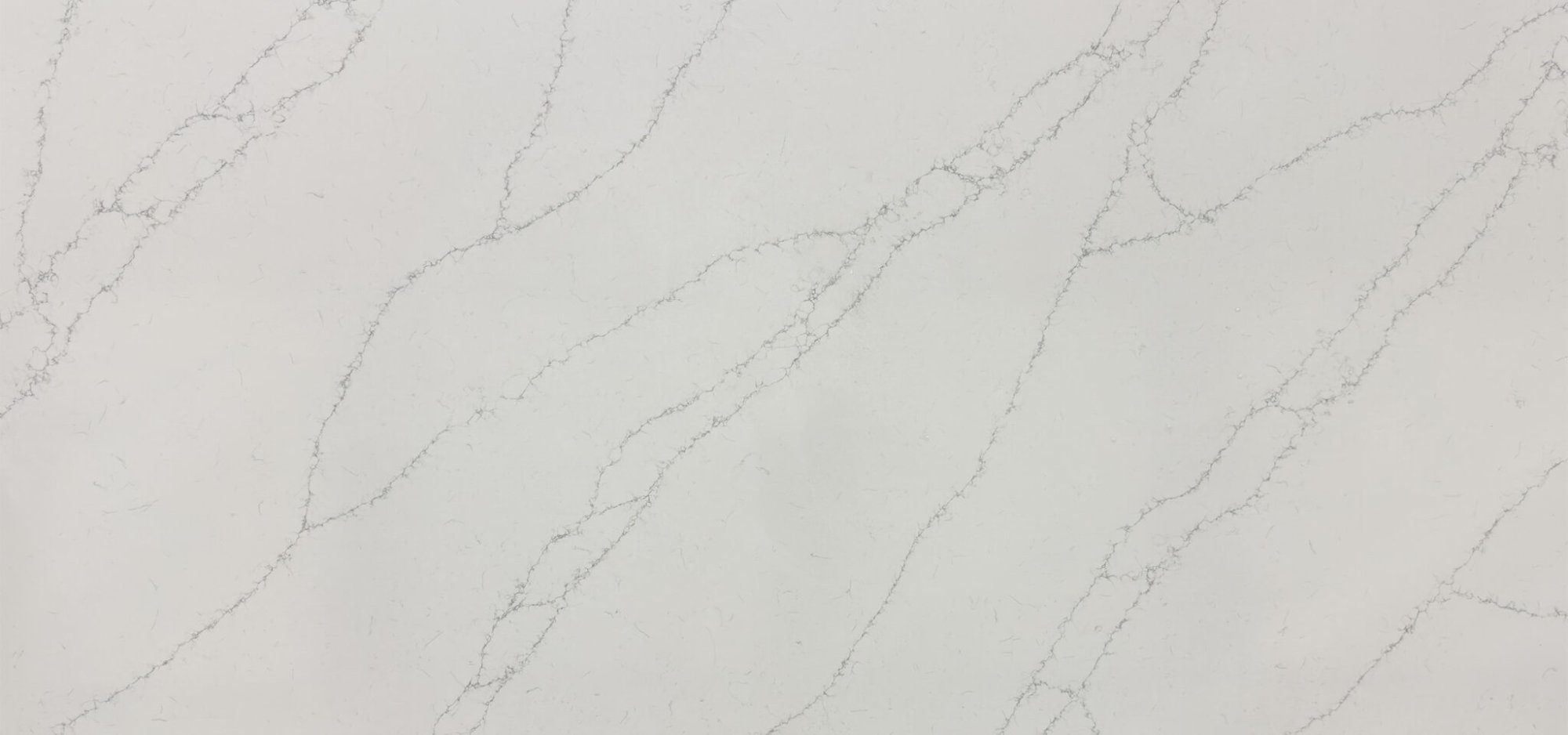 Imperia Gray