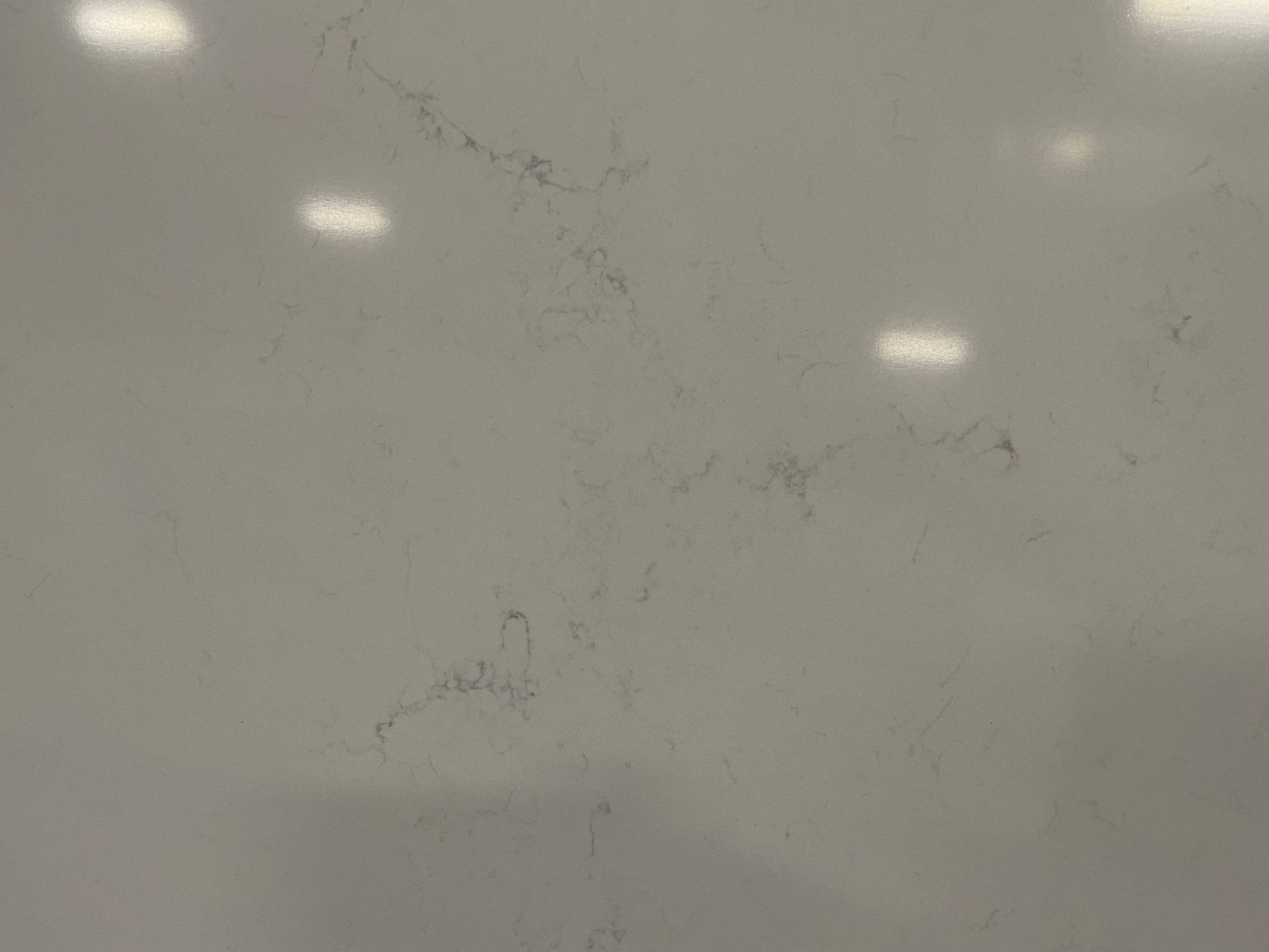 Carrara Venatino