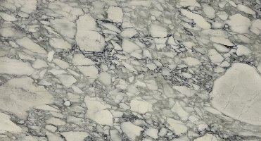 Calacatta Bellini Premium