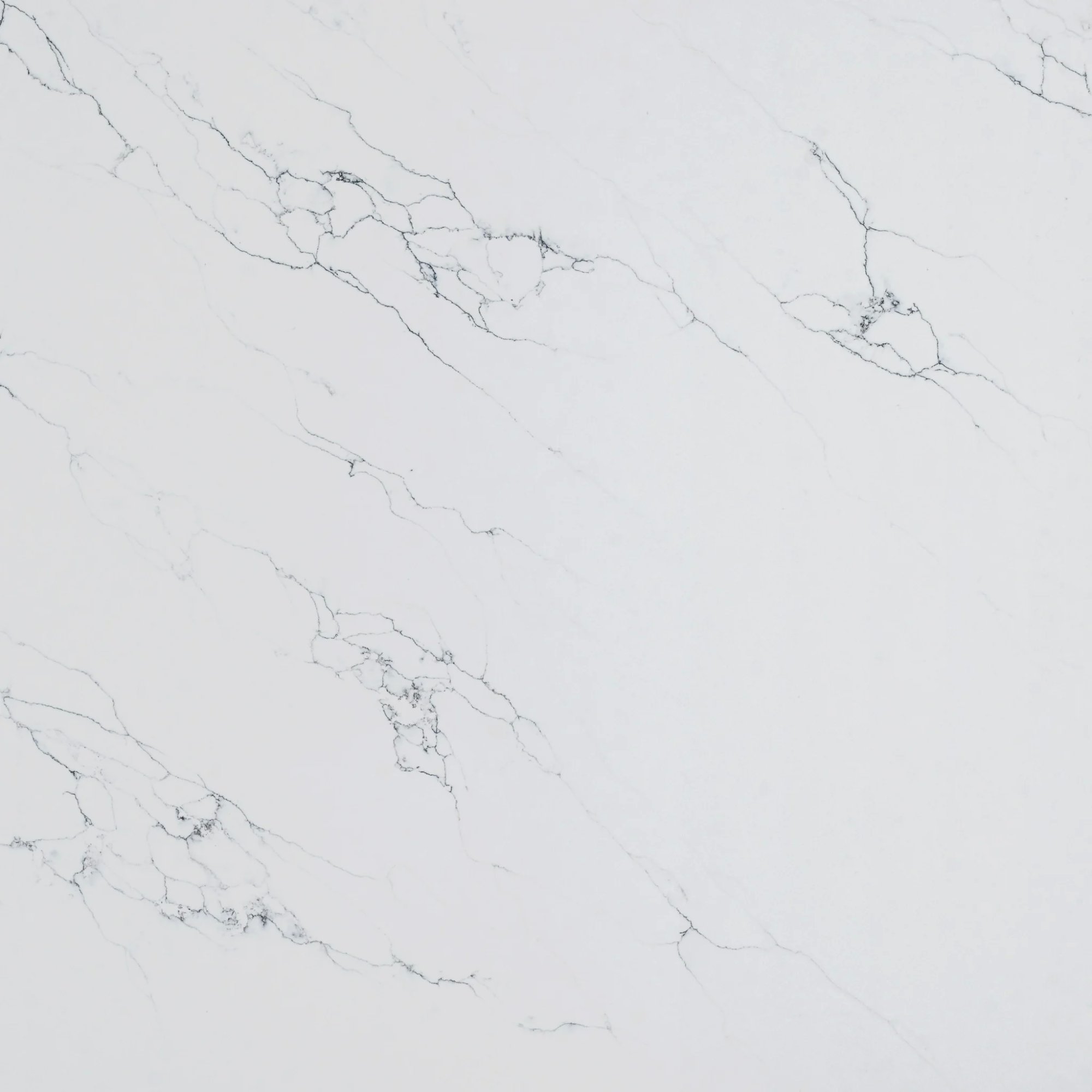 Venatino White