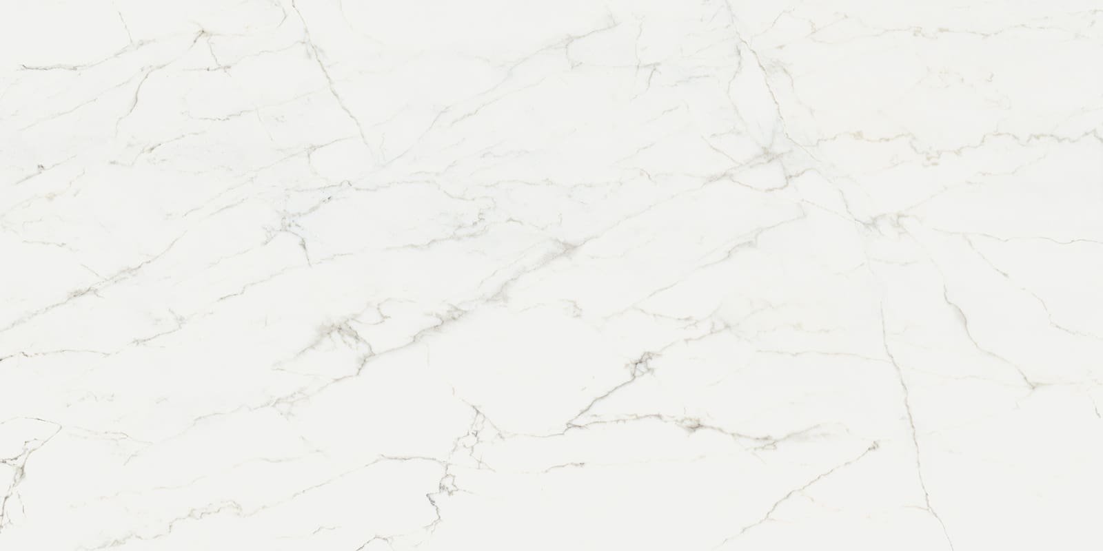 Calacatta Lincoln / Glory