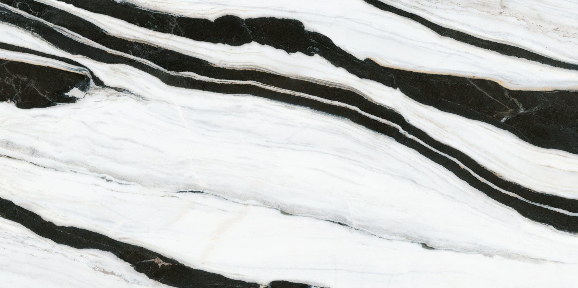 Panda White