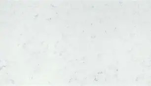 White Shadow