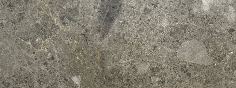 Gris Du Marais