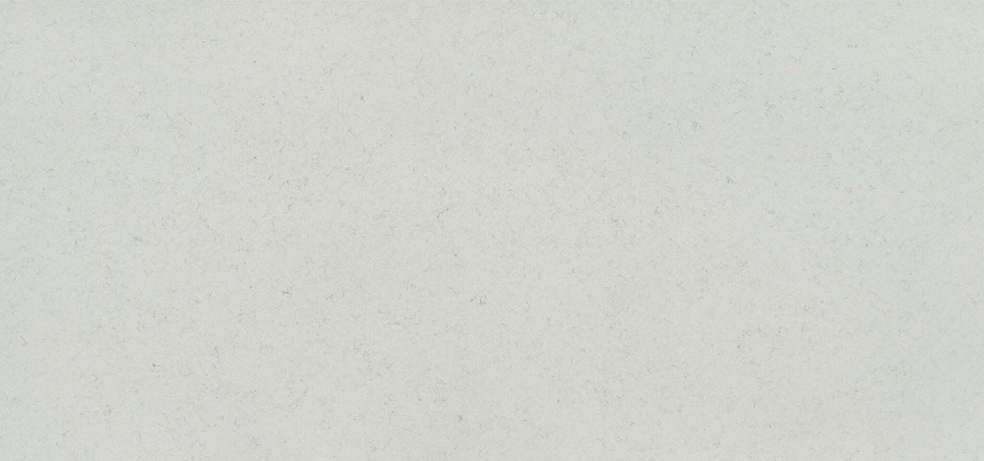 Arctic Ivory