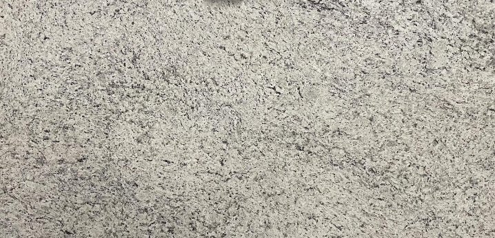 Beige Ornamental Coastal White