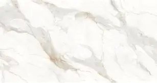 Symphony Sonoro