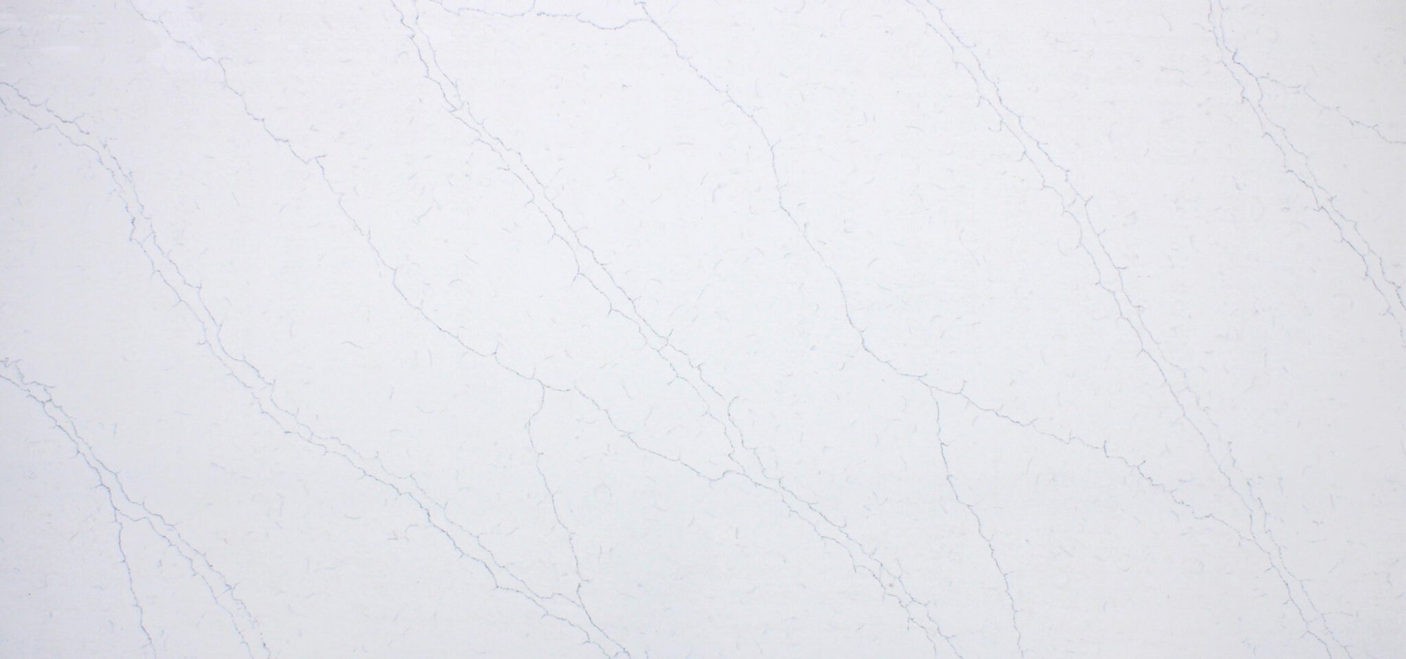 Giotto Gray