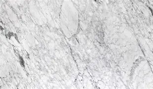 BIANCO CARRARA VENATINO