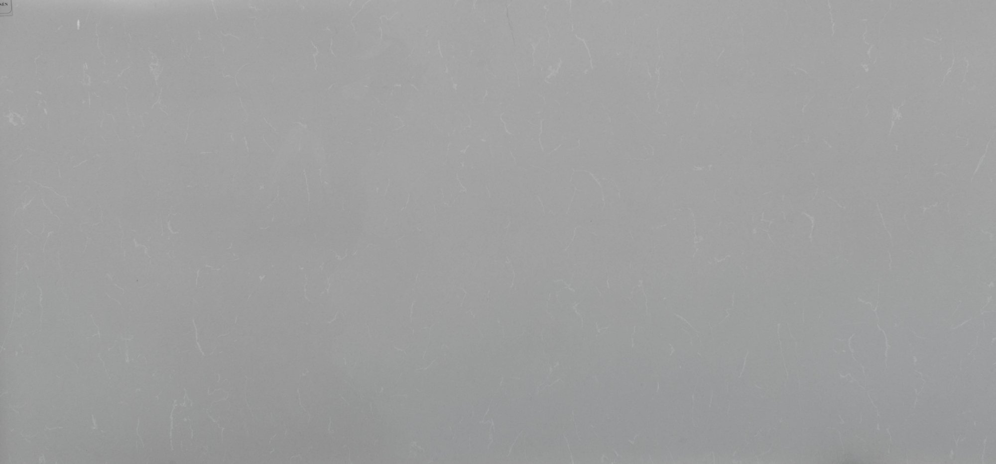 Grey Savoie