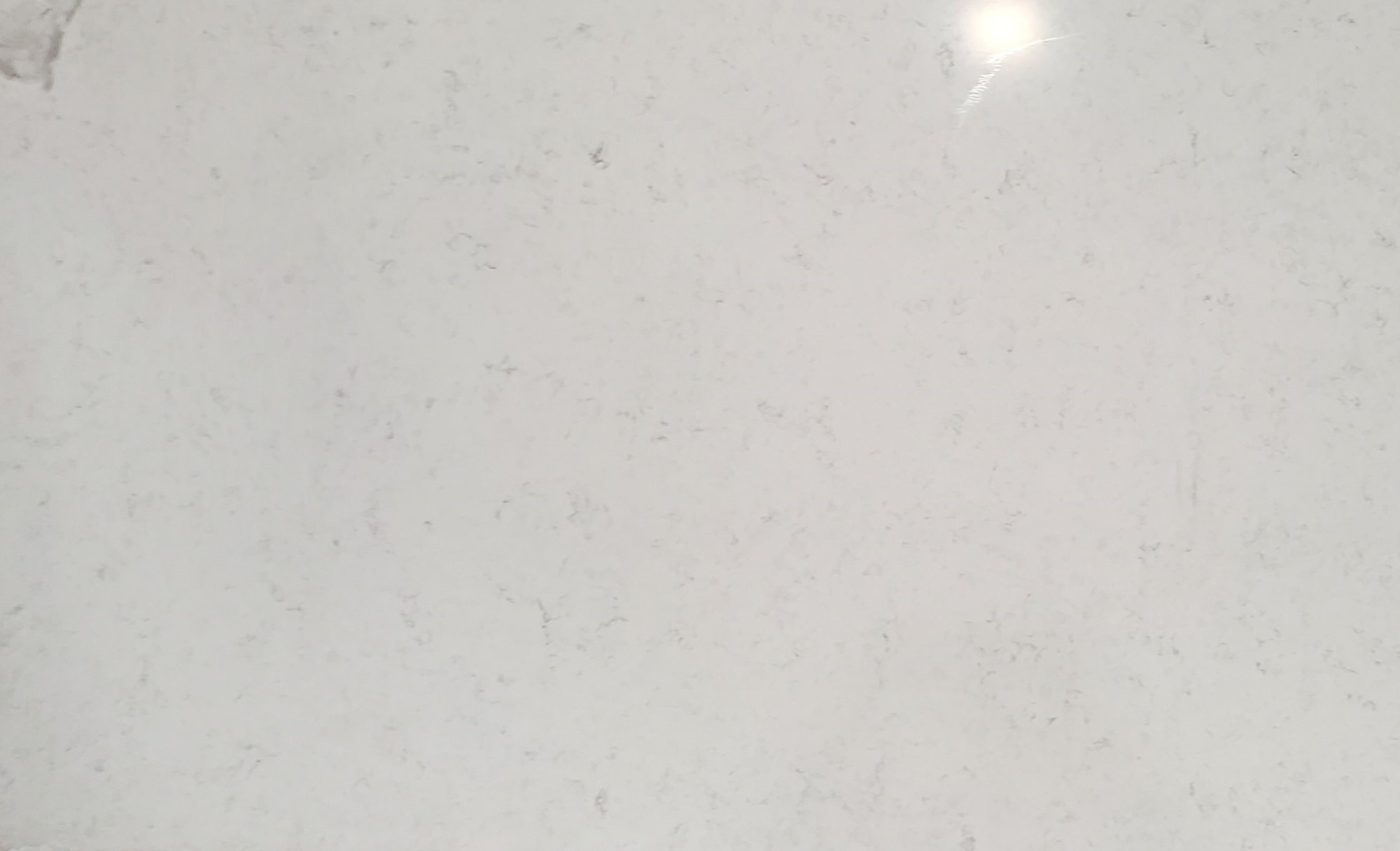Arctic Ivory