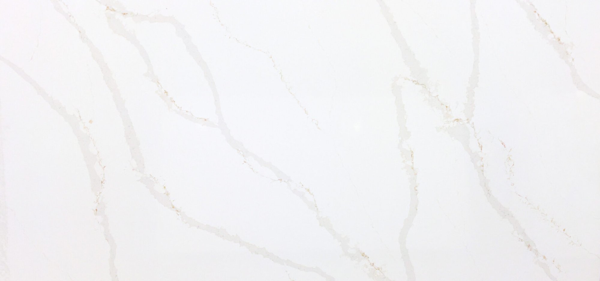 Calacatta Gold