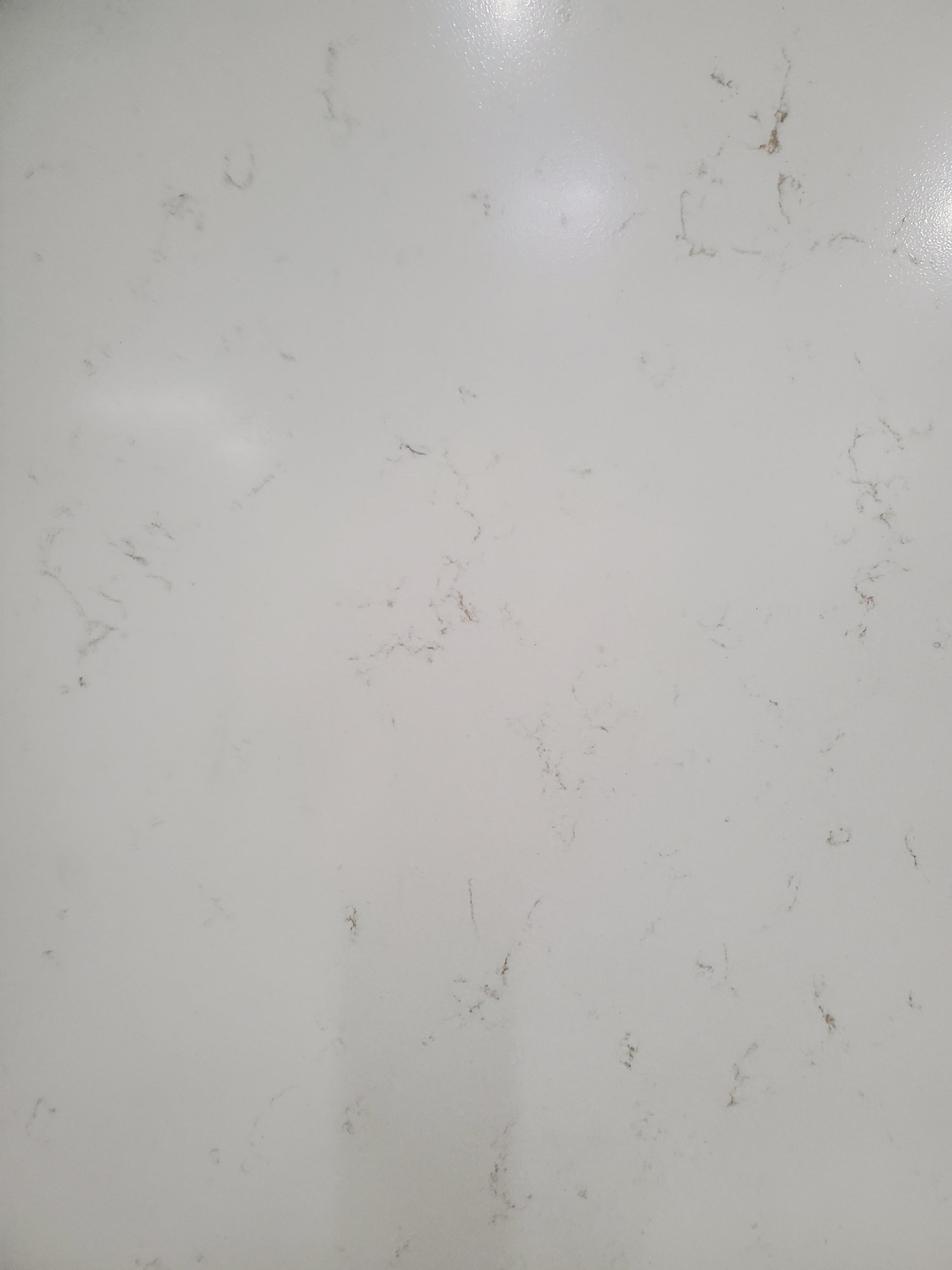 Carrara Gold