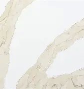 Calacatta Leon Gold