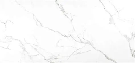 Symphony Leo