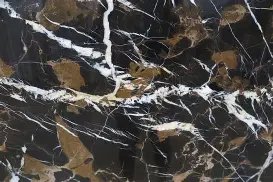 BLACK & GOLD MICHELANGELO