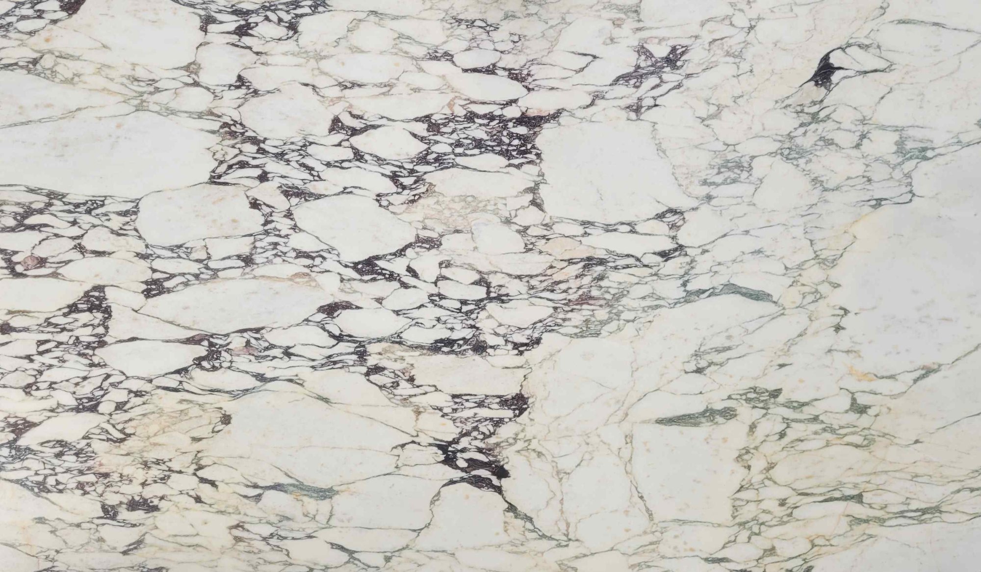 Calacatta Monet Extra Premium