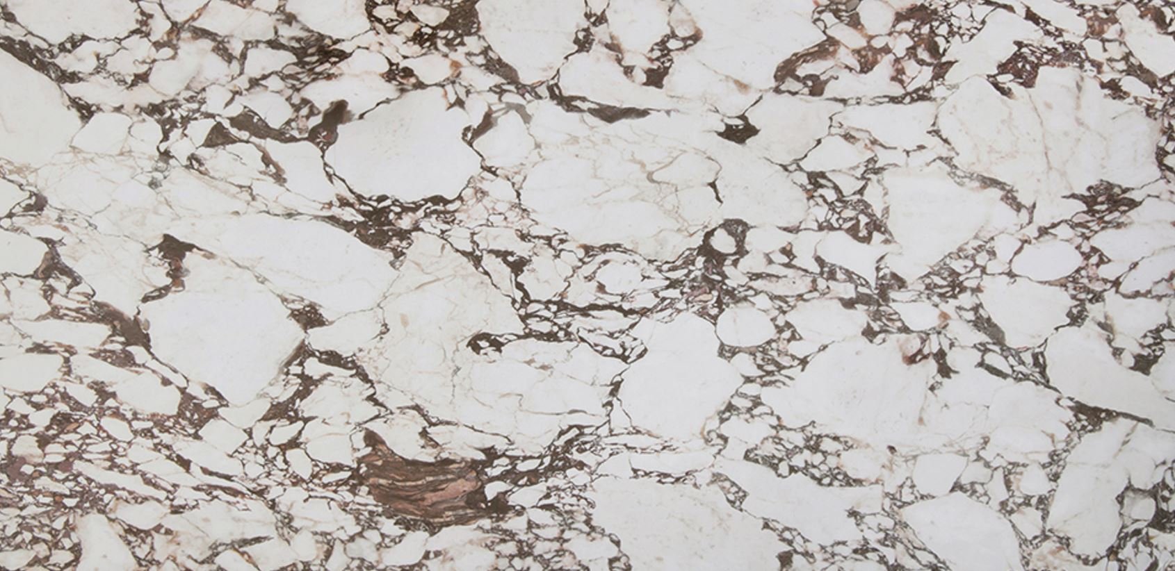 Stratus Porcelain: Calacatta Viola