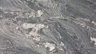 Silver Forest