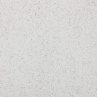 Arctic White