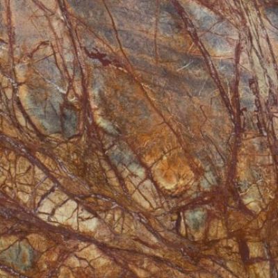 RAINFOREST BROWN