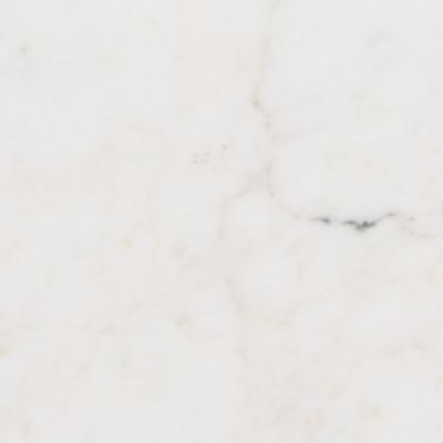 STATUARIO CERVAIOLE