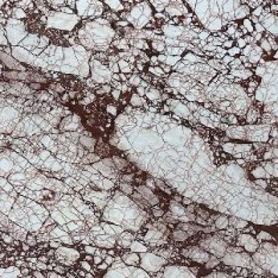 Calacatta Red