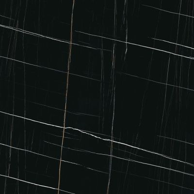 Sahara Noir