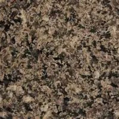 Tropical Brown