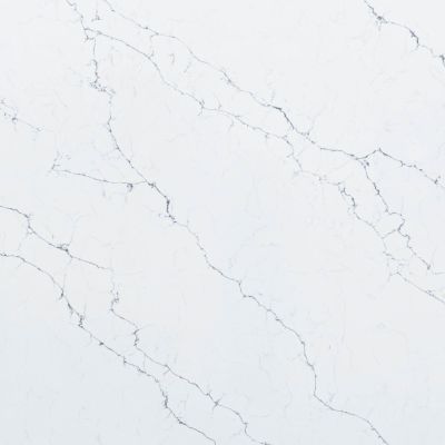 Venatino