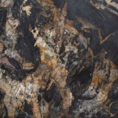 Bellatrix Premium