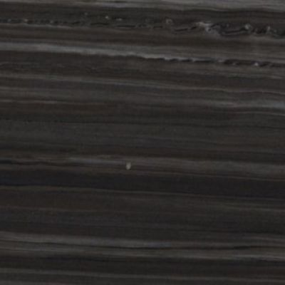 ZEBRINO BLACK