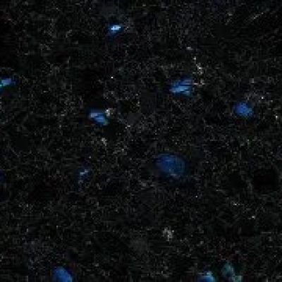 Nordic Blue