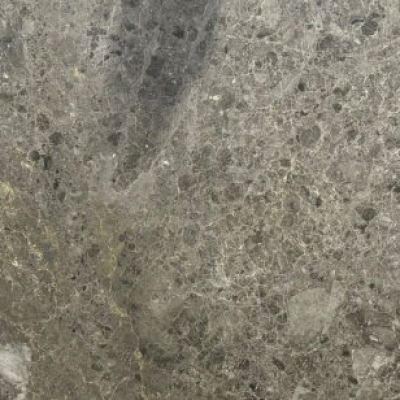 Gris Du Marais