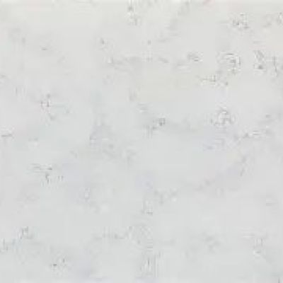 Carrara Dove