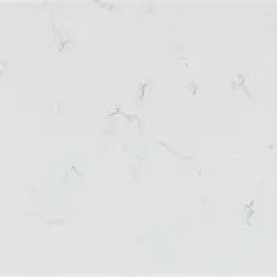 Calacatta Carrara