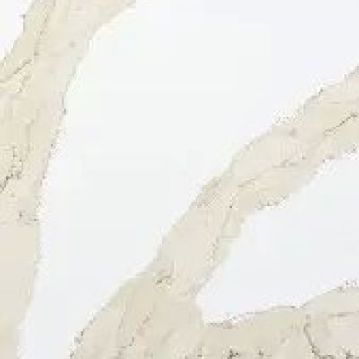 Calacatta Leon Gold