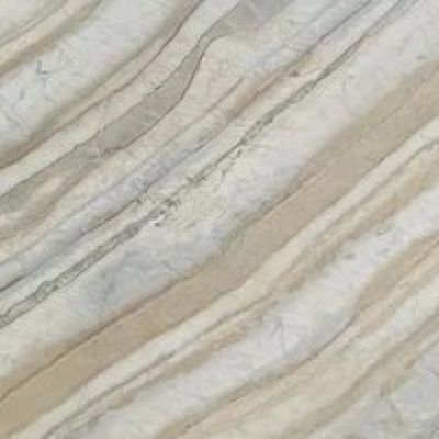Corteccia