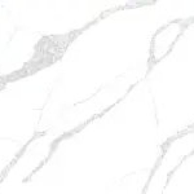 Calacatta Leon